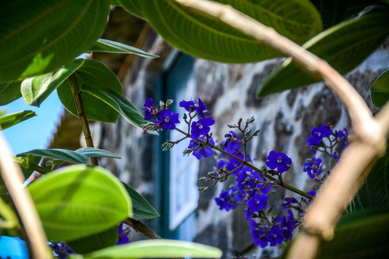 Villa Quinta Dos Frutos Santa Cruz da Graciosa Esterno foto