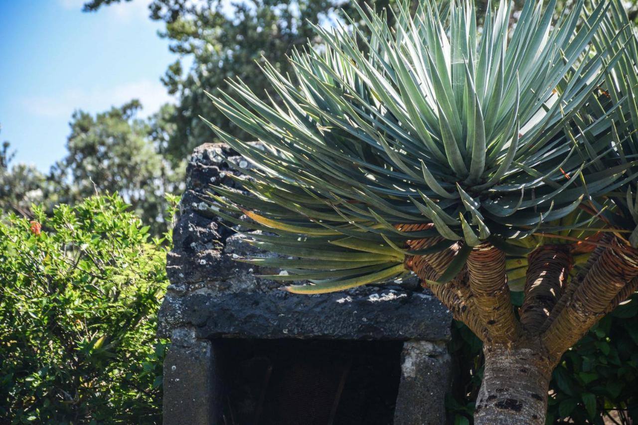 Villa Quinta Dos Frutos Santa Cruz da Graciosa Esterno foto